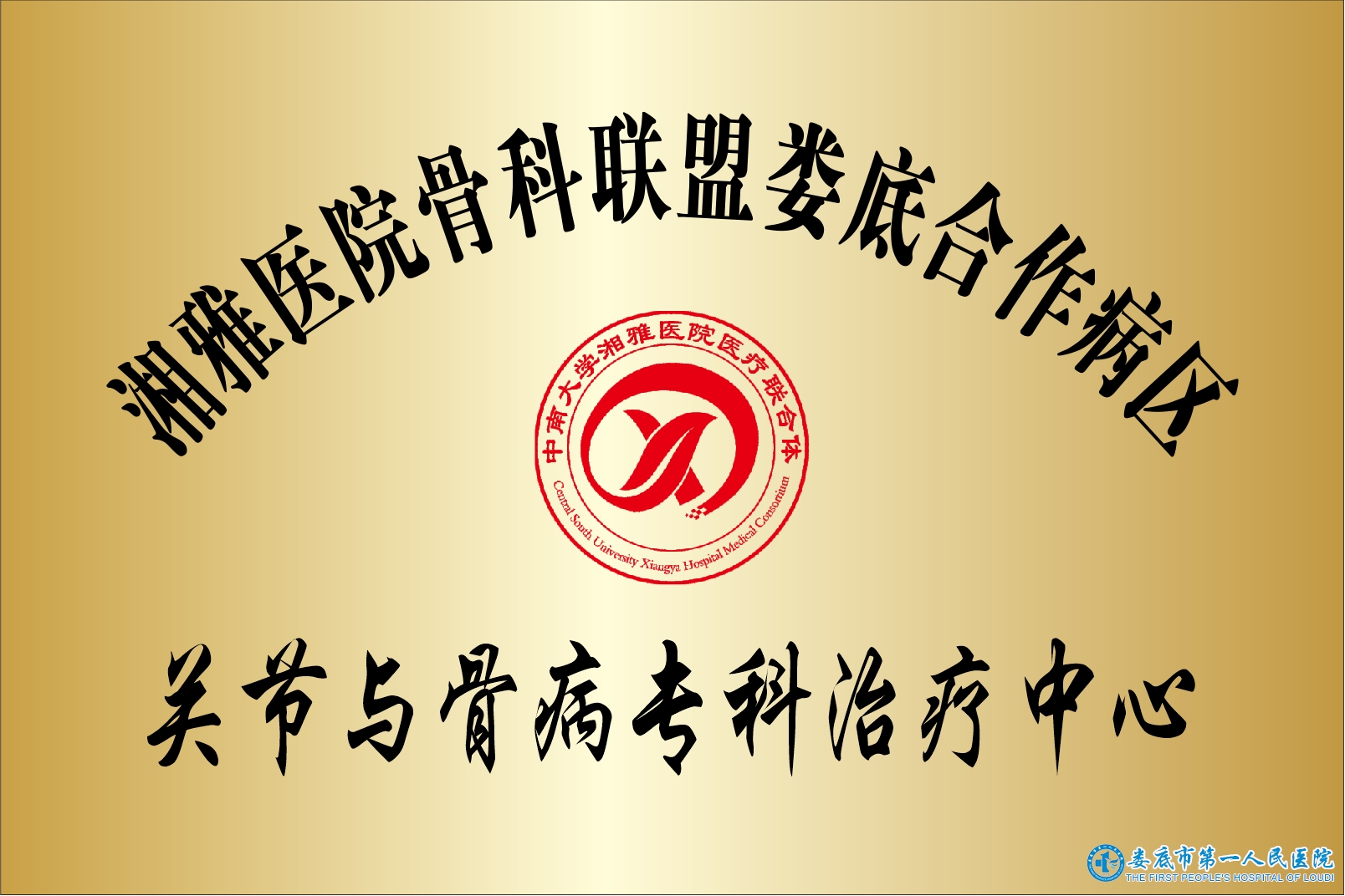 湘雅醫(yī)院骨科聯(lián)盟關(guān)節(jié)與骨病?？浦委熤行? width=
