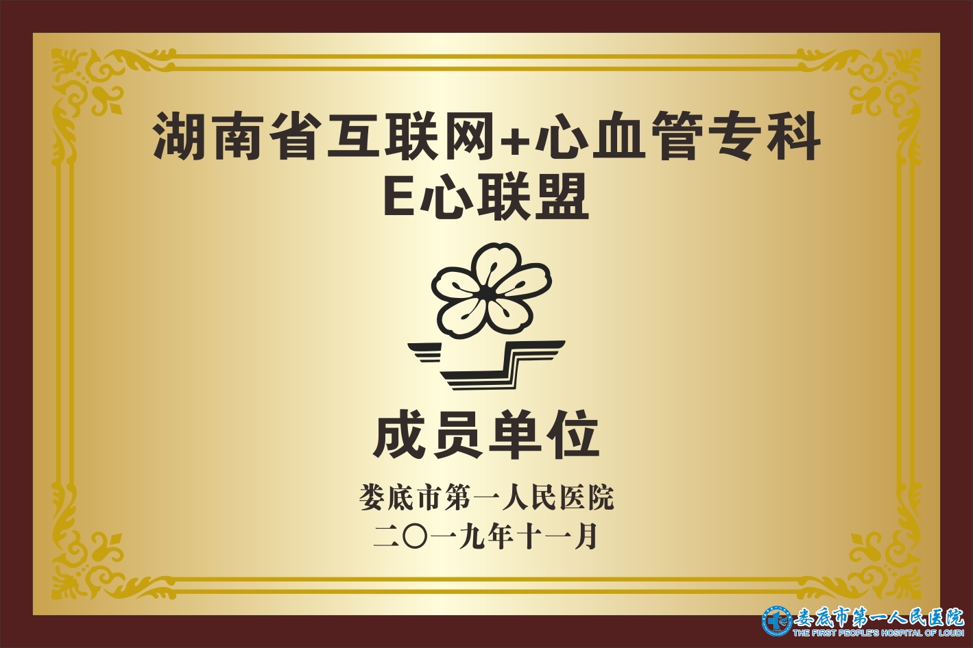 湖南省互聯(lián)網(wǎng)+心血管?？艵心聯(lián)盟