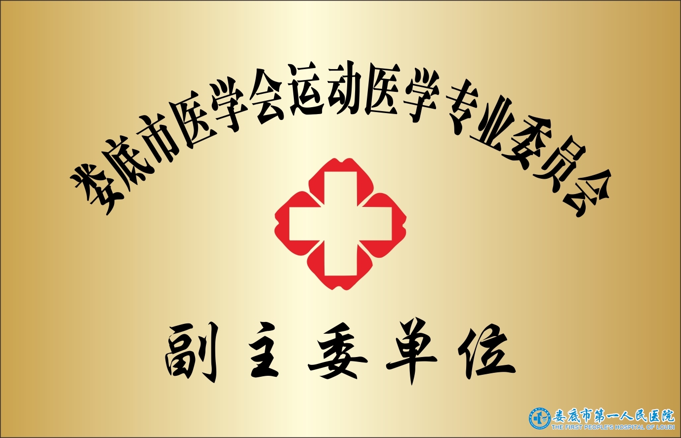 婁底市醫(yī)學(xué)會運(yùn)動醫(yī)學(xué)專業(yè)委員會